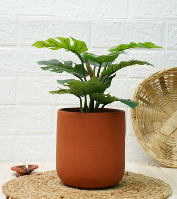 terracotta pots for plants