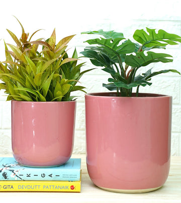 ceramic pots for plants