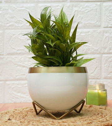 metal planters