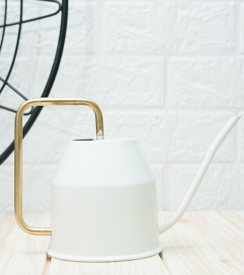 watering can for plants