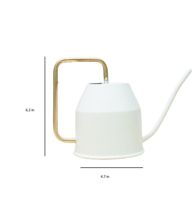 watering can for plants