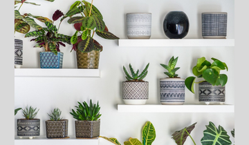 Decorative Indoor Flower Pots Can Brighten Up Your Home Decor