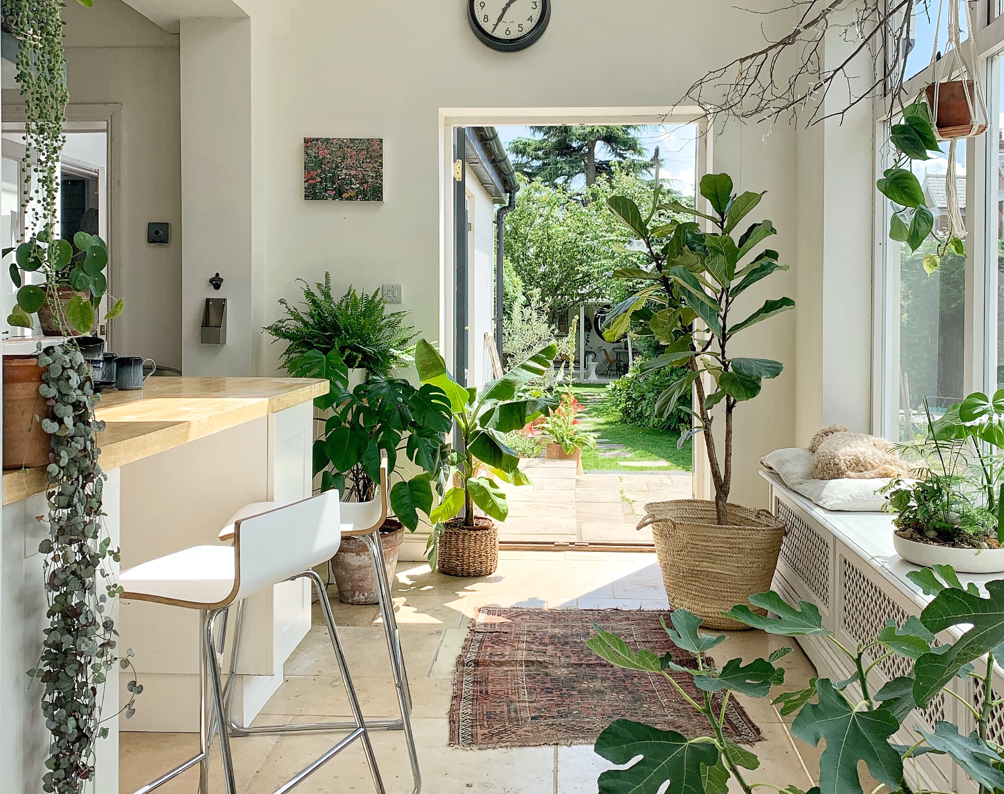Terrariums: The Low-Maintenance Indoor Garden Solution