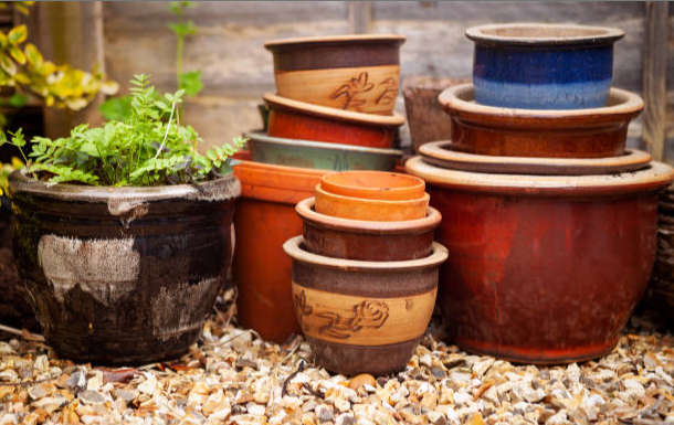 Terracotta clay pots for plants