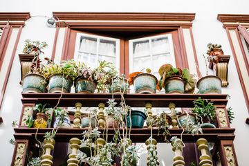 The Ultimate Guide to Choosing the Right Planters For Balcony in 2023