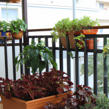 Top 10 Most Stylish And Practical Planters For Small Balcony Gardens