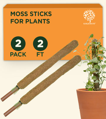 Coco Stick/Pole for Plants 2 Feet - Multi Pack