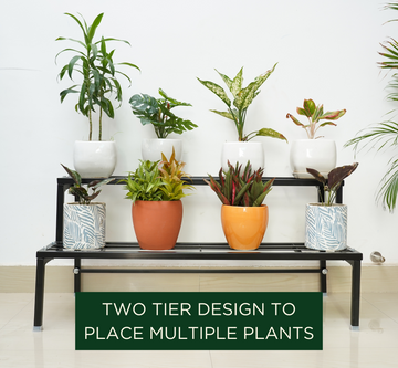 Plant Stand 2-Tier