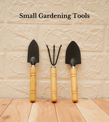 Rakhi Gardening Gifts - (Senior Grow Kit with tools - 1 Rakhi)