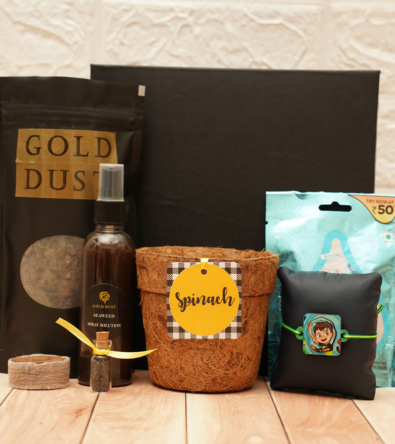 Rakhi Gardening Gifts - (Junior Grow Kit - 1 Rakhi)