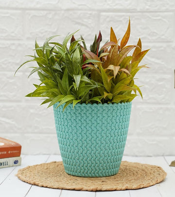 Plastic Pot- Marina - Multi Color  - Pack of 3 (‎‎18D x 18W x 18H cm)