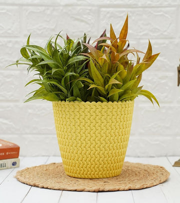 Plastic Pot- Marina - Yellow Color  - Pack of 3 (‎‎18D x 18W x 18H cm)