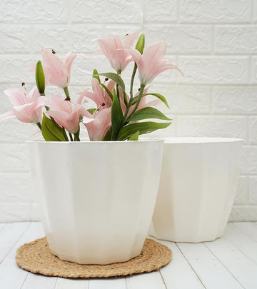 Plastic Pot- Mosaic Bowl - White Color  - Pack of 2 (‎‎31D x 31W x 31H cm)