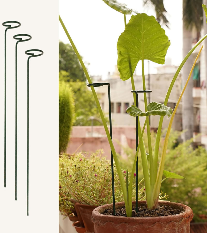 Metal Plant Stakes - Multi Pack