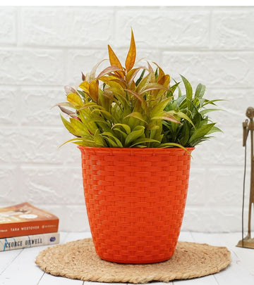 Plastic Pot- Siro - Orange Color  - Pack of 2 (‎‎21D x 21W x 21H cm)