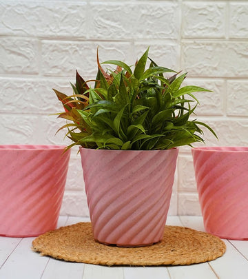 Plastic Pot Swirly Pink Color- Pack of 3 (18D x 18W x 25H  cm)