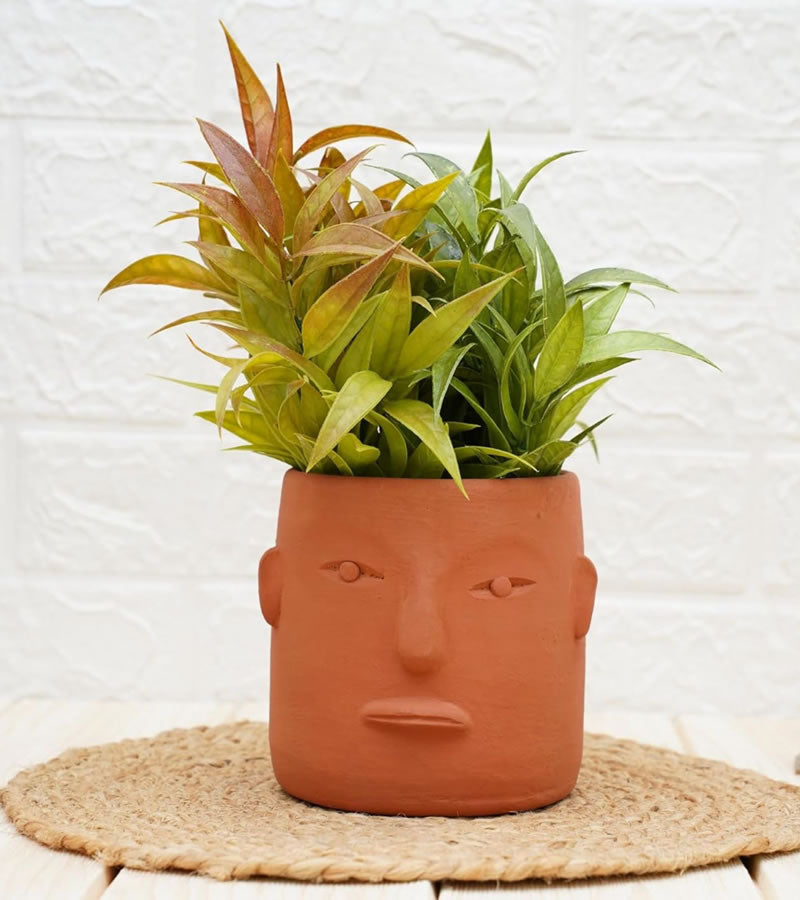 Face Clay Pot - Terracotta 5.5 x 6 Inch