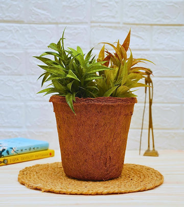 Coco Coir Pots for Plants 8 inch - Multi Pack
