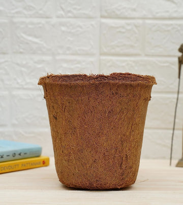 Coco Coir Pots for Plants 8 inch - Multi Pack