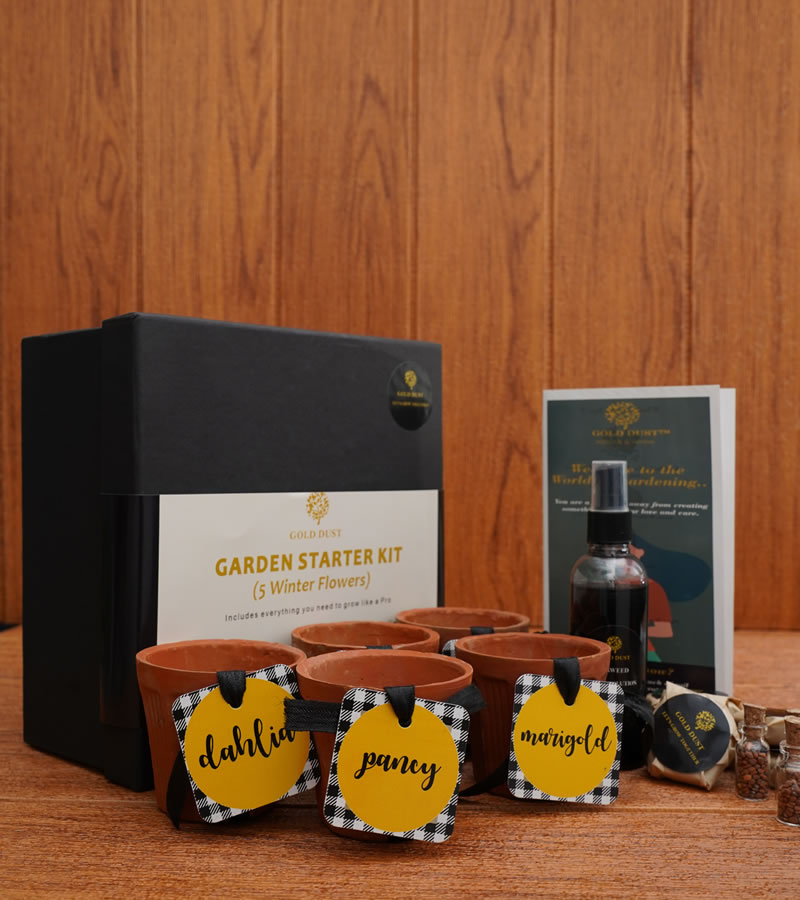 Grow Your Own Herbs Kit - Premium Box