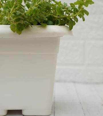 Plastic Pot- still Planter - White Color  - Multi Pack (‎‎44D x 44W x 44H cm)