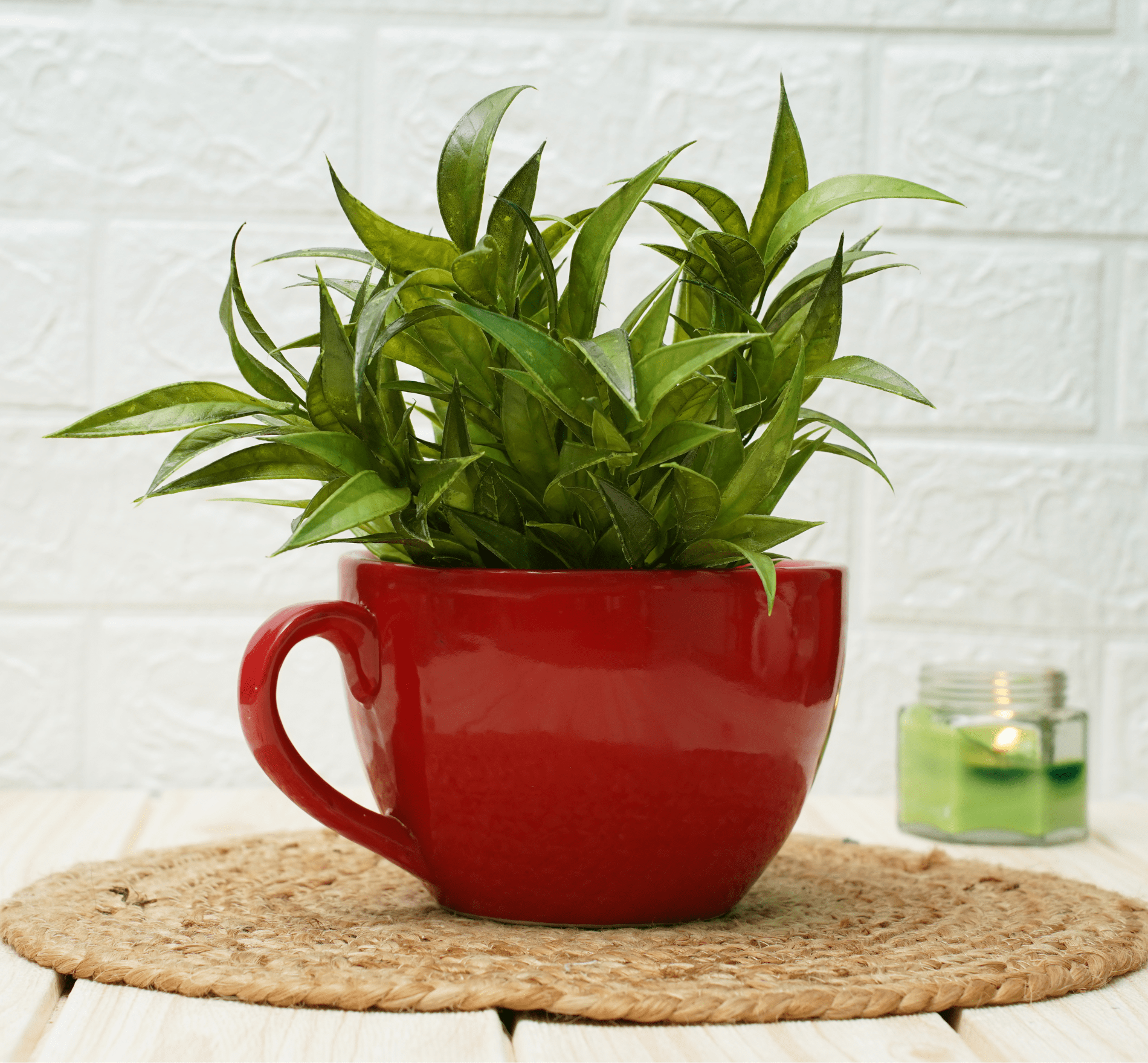 Ceramic Pot - Cup Shape Red