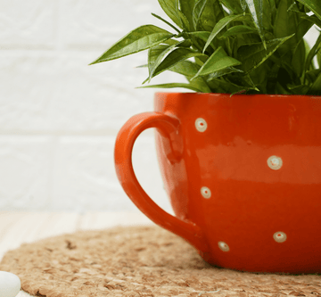 Ceramic Pot - Cup Shape Orange Polka
