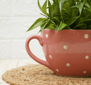 Ceramic Pot - Cup Shape Pink Polka