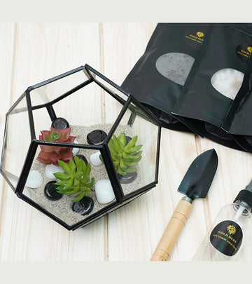 Terrarium Glass Containers(Black Fullerene) - with Terrarium Grow Kit