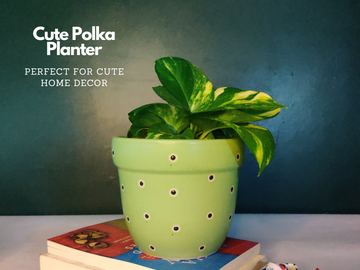Polka Pots for Home Decoration - Green