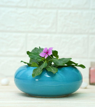 Ellipse Cute Ceramic Pots for Indoor Plants Small Blue