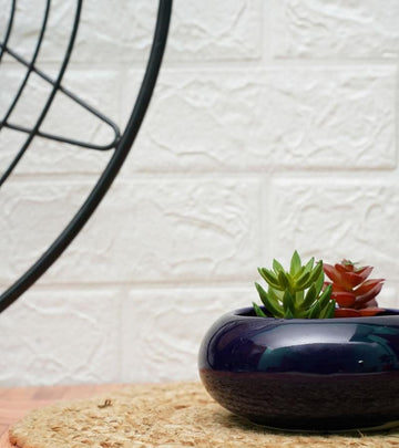Ellipse Cute Ceramic Pots for Indoor Plants Small Dark Blue