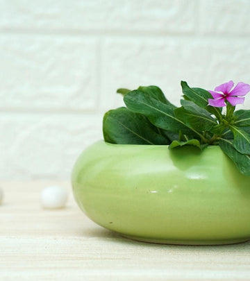 Ellipse Cute Ceramic Pots for Indoor Plants Small Green
