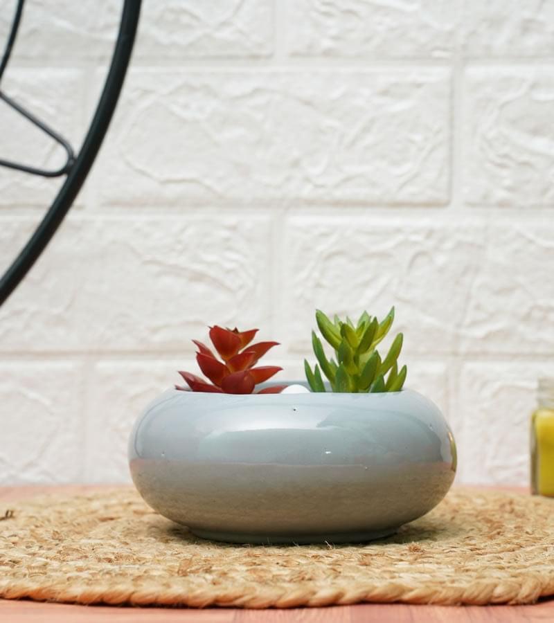 Ellipse Cute Ceramic Pots for Indoor Plants Small Grey
