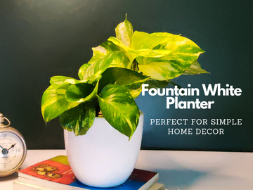 Fountain White Planter for Indoor Plants