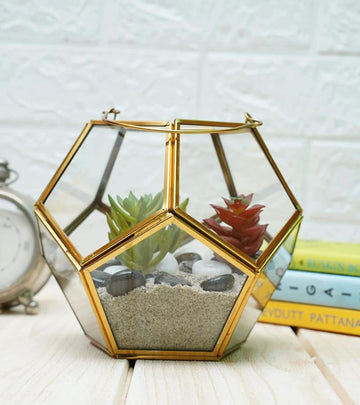 Terrarium Glass Containers(Golden Fullerene) - with Terrarium Grow Kit