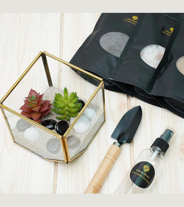 Terrarium Glass Containers(Golden Square) - with Terrarium Grow Kit