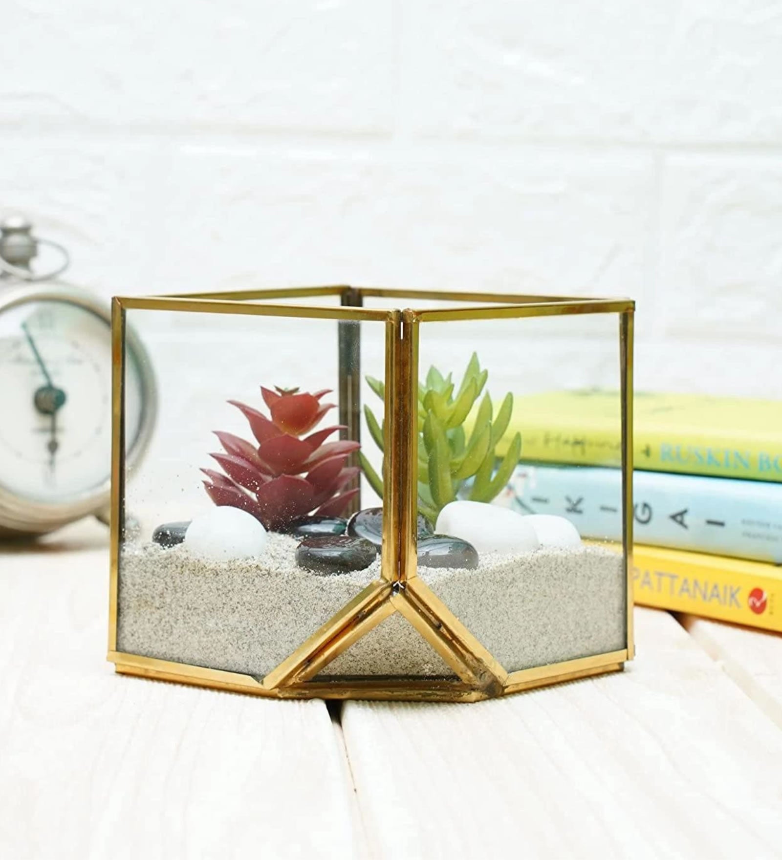 Terrarium Glass Containers(Golden Square) with Terrarium Grow Kit