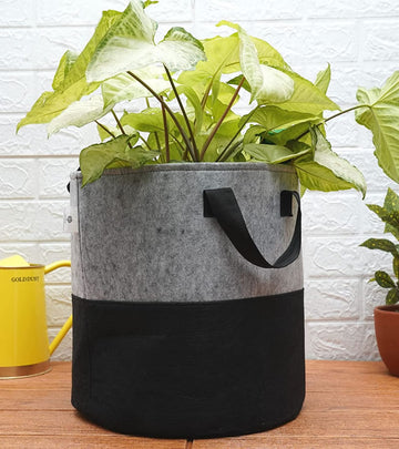 Grow Bags - Gray Black 12x12 Inch (Pack of 3)