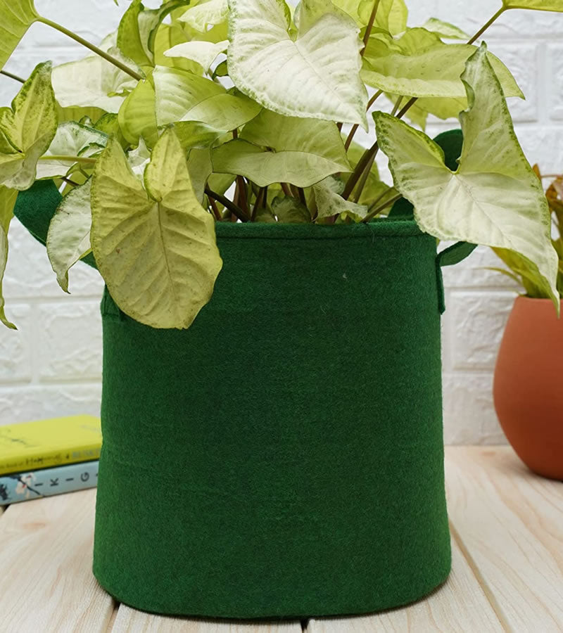 Hessian grow online bags