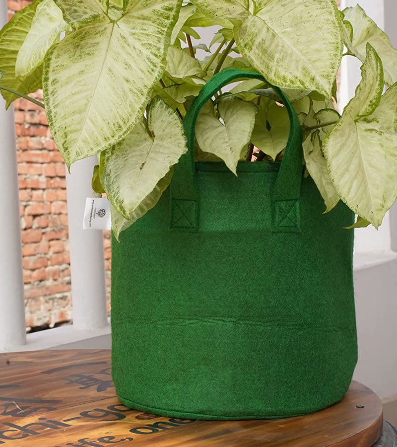 Grow Bags - Green