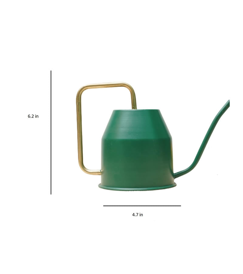 watering can for plants 