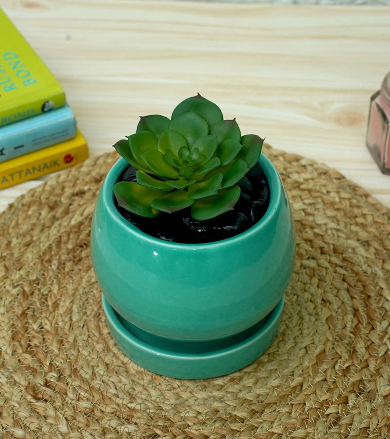 Round Ceramic Pots for Plants,3