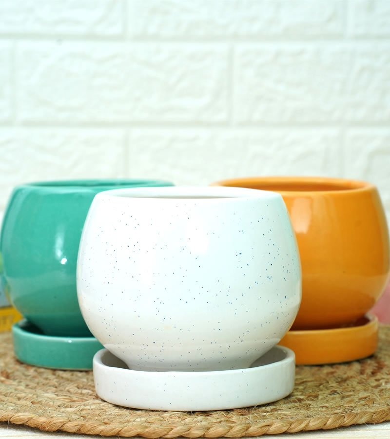 Round Ceramic Pots for Plants