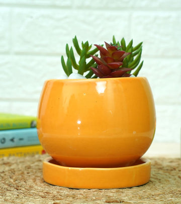 Round Ceramic Pots for Plants 11 x 13 cm - Orange