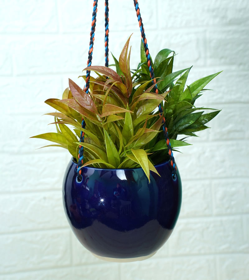 ceramic pots for plants