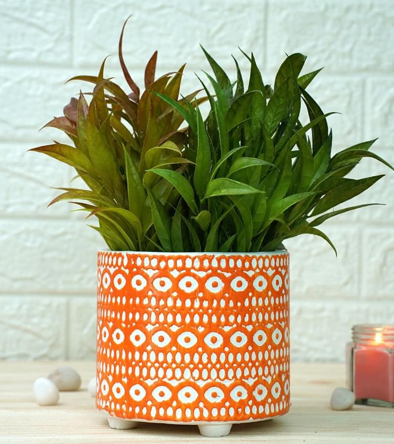 Ceramic Pot - Orange Pattern 14 x 15 cm