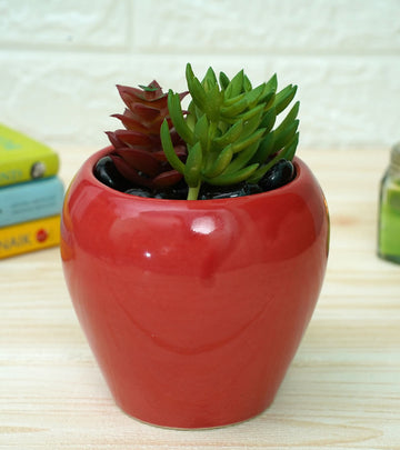 Pear Ceramic Pot - Red 12 x 12 cm