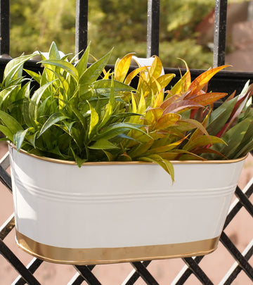 Metal Railing Planter - White (Multi Pack)