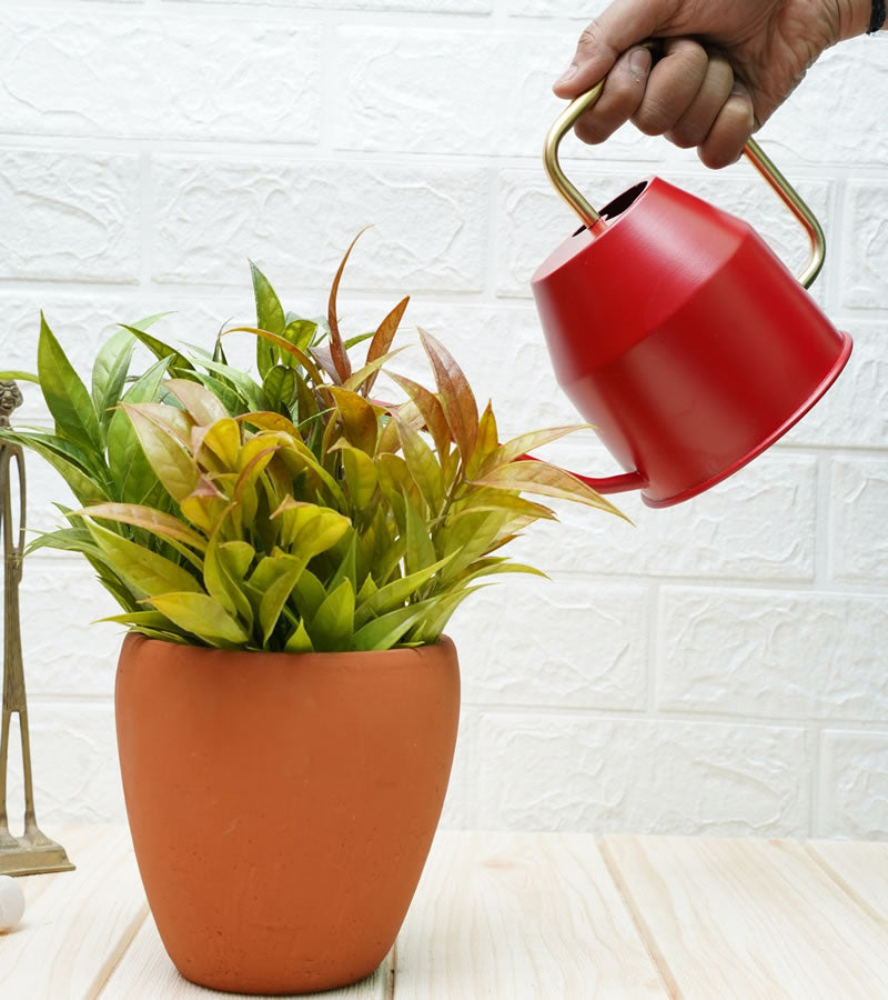 watering can for plants